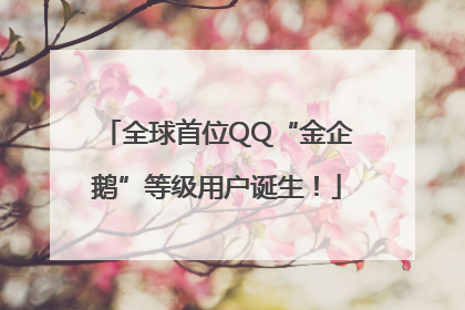 全球首位QQ“金企鹅”等级用户诞生！