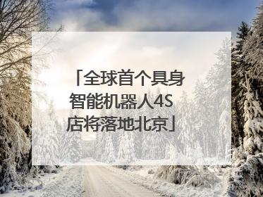 全球首个具身智能机器人4S店将落地北京