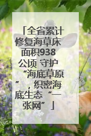 全省累计修复海草床面积938公顷 守护“海底草原”，织密海底生态“一张网”