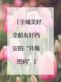 全域美好全龄友好西安的“升级密码”