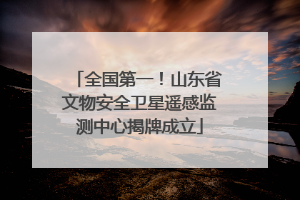 全国第一！山东省文物安全卫星遥感监测中心揭牌成立