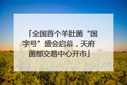 全国首个羊肚菌“国字号”盛会启幕，天府菌都交易中心开市