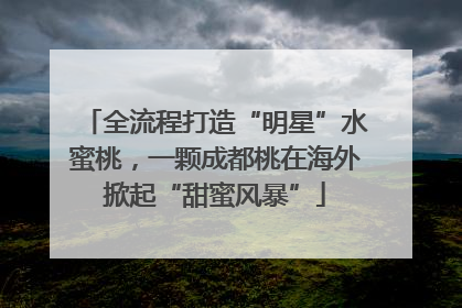 全流程打造“明星”水蜜桃，一颗成都桃在海外掀起“甜蜜风暴”