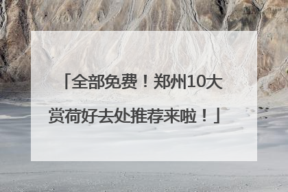 全部免费！郑州10大赏荷好去处推荐来啦！