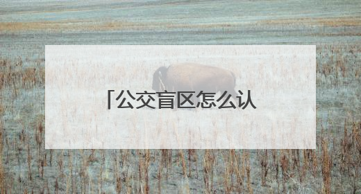 公交盲区怎么认？四川宜宾学生代表在模拟试验中增强乘车安全意识