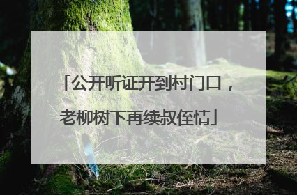 公开听证开到村门口，老柳树下再续叔侄情