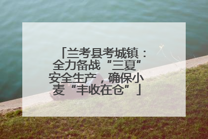 兰考县考城镇：全力备战“三夏”安全生产，确保小麦“丰收在仓”