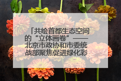 共绘首都生态空间的“立体画卷”——北京市政协和市委统战部聚焦促进绿化彩化美化生态空间建设联合协商议政