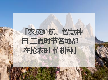 农技护航、智慧种田 三夏时节各地都在抢农时 忙耕种