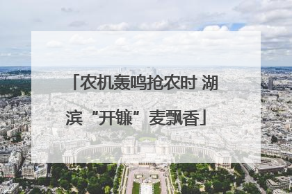 农机轰鸣抢农时 湖滨“开镰”麦飘香