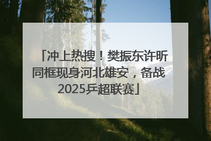 冲上热搜！樊振东许昕同框现身河北雄安，备战2025乒超联赛