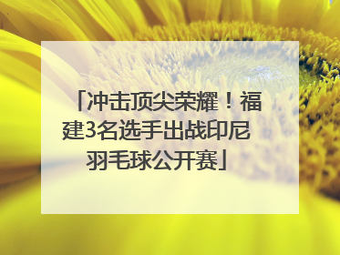 冲击顶尖荣耀！福建3名选手出战印尼羽毛球公开赛