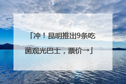 冲！昆明推出9条吃菌观光巴士，票价→