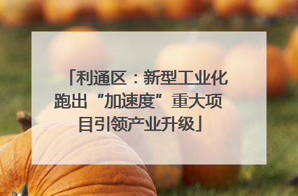 利通区：新型工业化跑出“加速度”重大项目引领产业升级