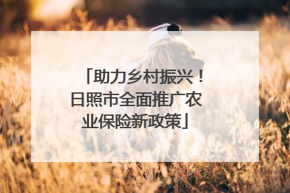 助力乡村振兴！日照市全面推广农业保险新政策