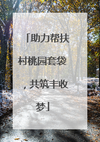 助力帮扶村桃园套袋，共筑丰收梦