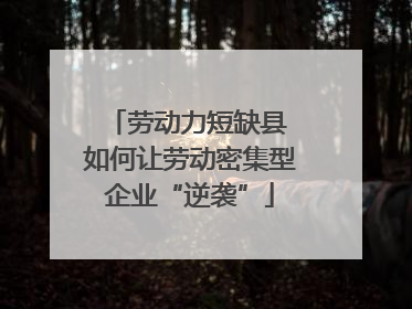 劳动力短缺县 如何让劳动密集型企业“逆袭”