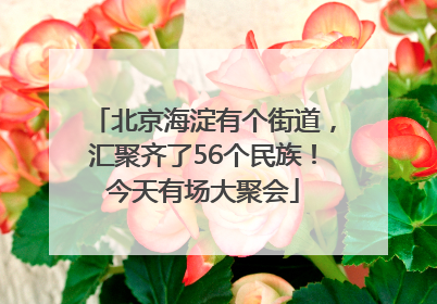 北京海淀有个街道，汇聚齐了56个民族！今天有场大聚会