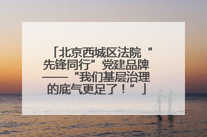 北京西城区法院“先锋同行”党建品牌——“我们基层治理的底气更足了！”