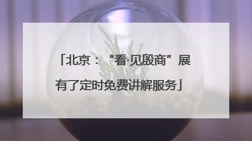 北京：“看·见殷商”展有了定时免费讲解服务