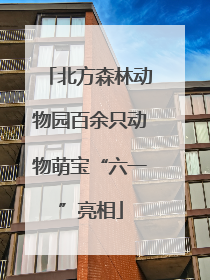北方森林动物园百余只动物萌宝“六一”亮相