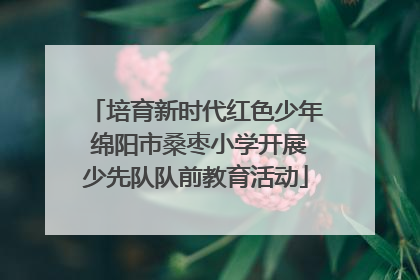 培育新时代红色少年 绵阳市桑枣小学开展少先队队前教育活动