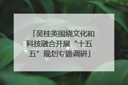 吴桂英围绕文化和科技融合开展“十五五”规划专题调研