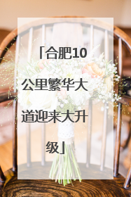 合肥10公里繁华大道迎来大升级