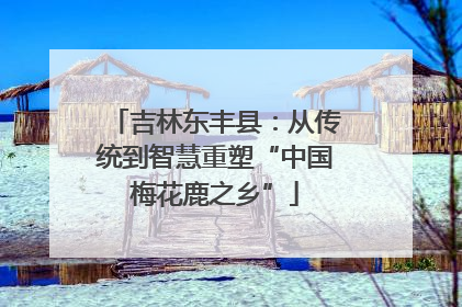 吉林东丰县：从传统到智慧重塑“中国梅花鹿之乡”