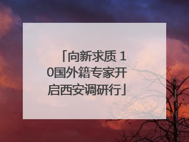 向新求质 10国外籍专家开启西安调研行