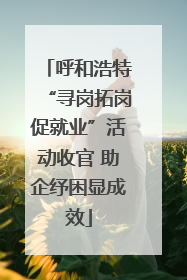 呼和浩特“寻岗拓岗促就业”活动收官 助企纾困显成效
