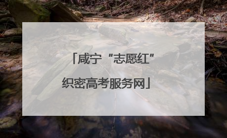 咸宁“志愿红”织密高考服务网