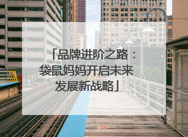 品牌进阶之路：袋鼠妈妈开启未来发展新战略