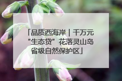 品质西海岸｜千万元“生态贷”花落灵山岛省级自然保护区