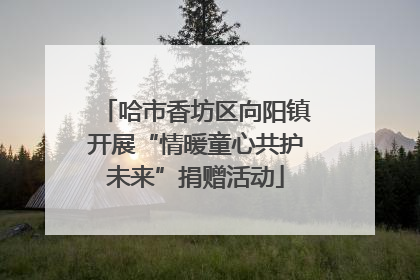 哈市香坊区向阳镇开展“情暖童心共护未来”捐赠活动