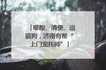 喂粮、清便、逗猫狗，济南有帮“上门宠托师”