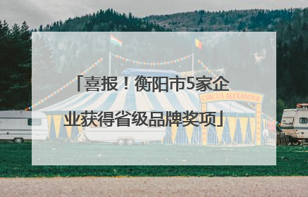 喜报！衡阳市5家企业获得省级品牌奖项