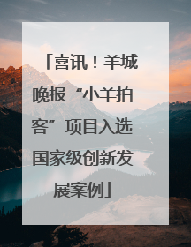 喜讯！羊城晚报“小羊拍客”项目入选国家级创新发展案例