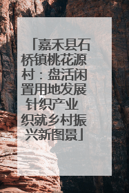 嘉禾县石桥镇桃花源村：盘活闲置用地发展针织产业 织就乡村振兴新图景