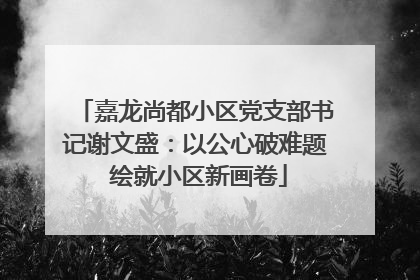 嘉龙尚都小区党支部书记谢文盛：以公心破难题 绘就小区新画卷