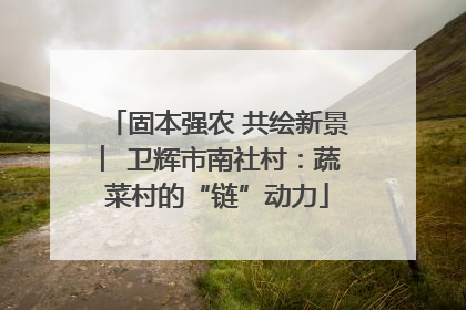 固本强农 共绘新景 ︳卫辉市南社村：蔬菜村的“链”动力