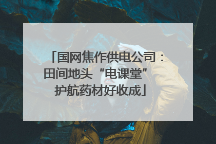 国网焦作供电公司：田间地头“电课堂” 护航药材好收成