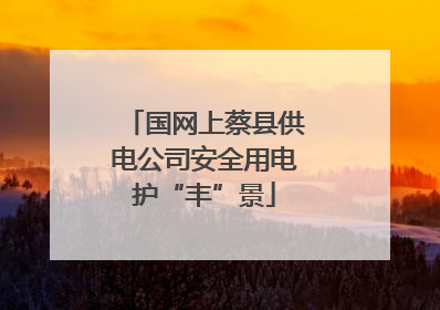 国网上蔡县供电公司安全用电护“丰”景
