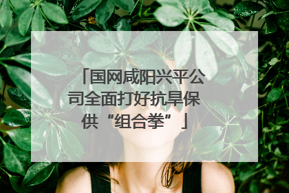 国网咸阳兴平公司全面打好抗旱保供“组合拳”