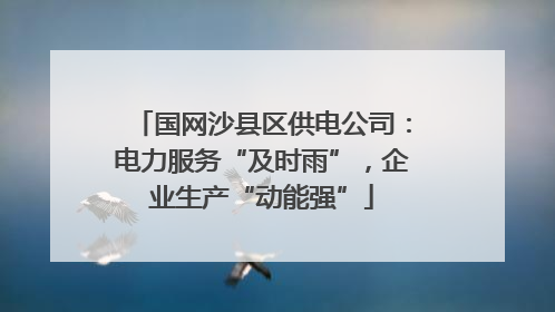 国网沙县区供电公司：电力服务“及时雨”，企业生产“动能强”