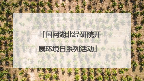 国网湖北经研院开展环境日系列活动