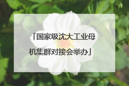 国家级沈大工业母机集群对接会举办