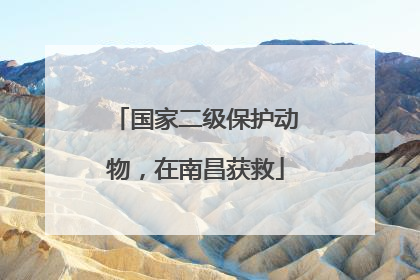国家二级保护动物，在南昌获救