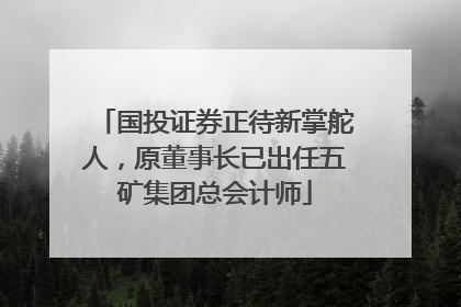 国投证券正待新掌舵人，原董事长已出任五矿集团总会计师