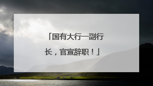 国有大行一副行长，官宣辞职！